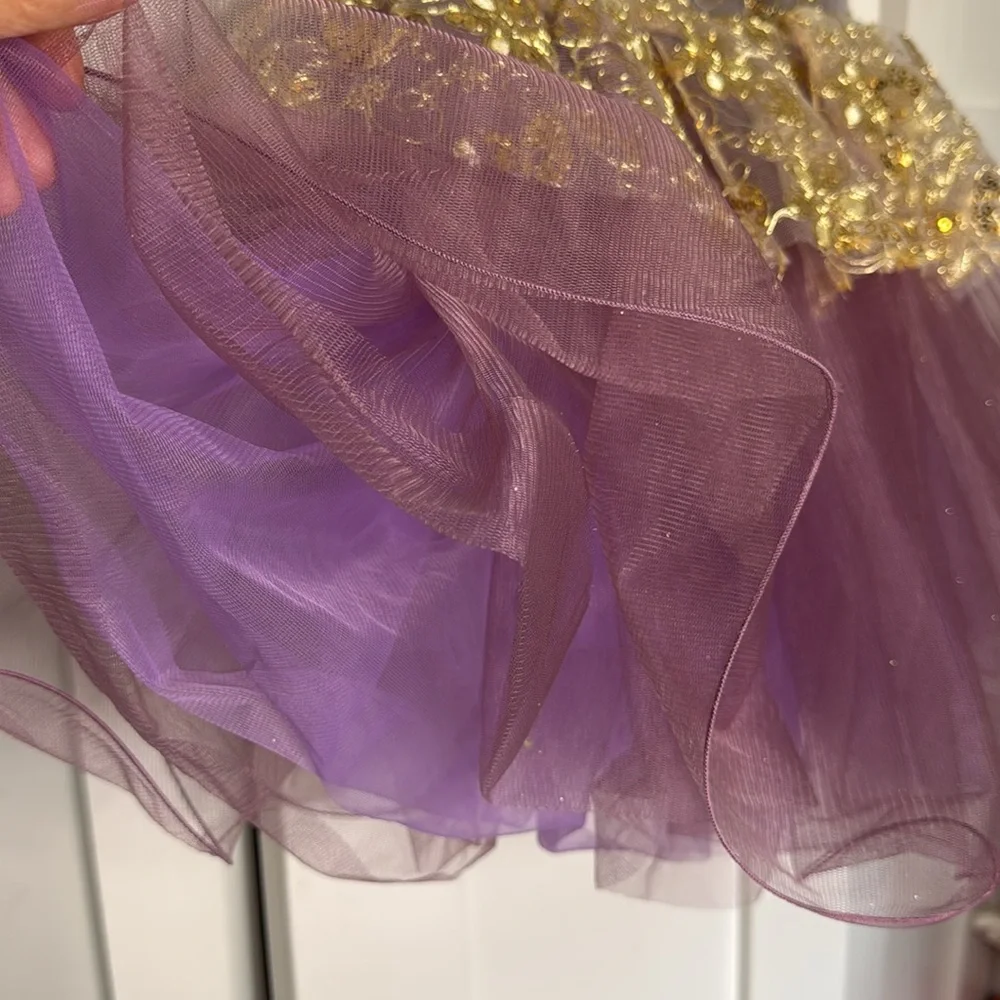 Purple Pointe leotard Tutu Dress Dance Costume Large